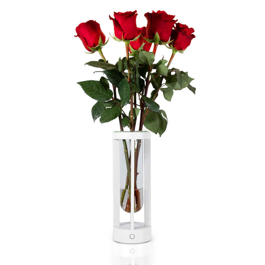 Vase mit Rosen